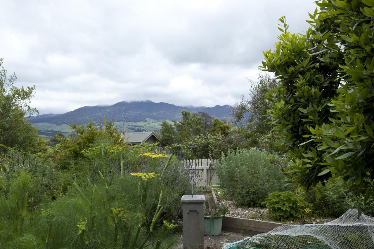 Highgate Bed And Breakfast & Garden Pirongia Exterior foto